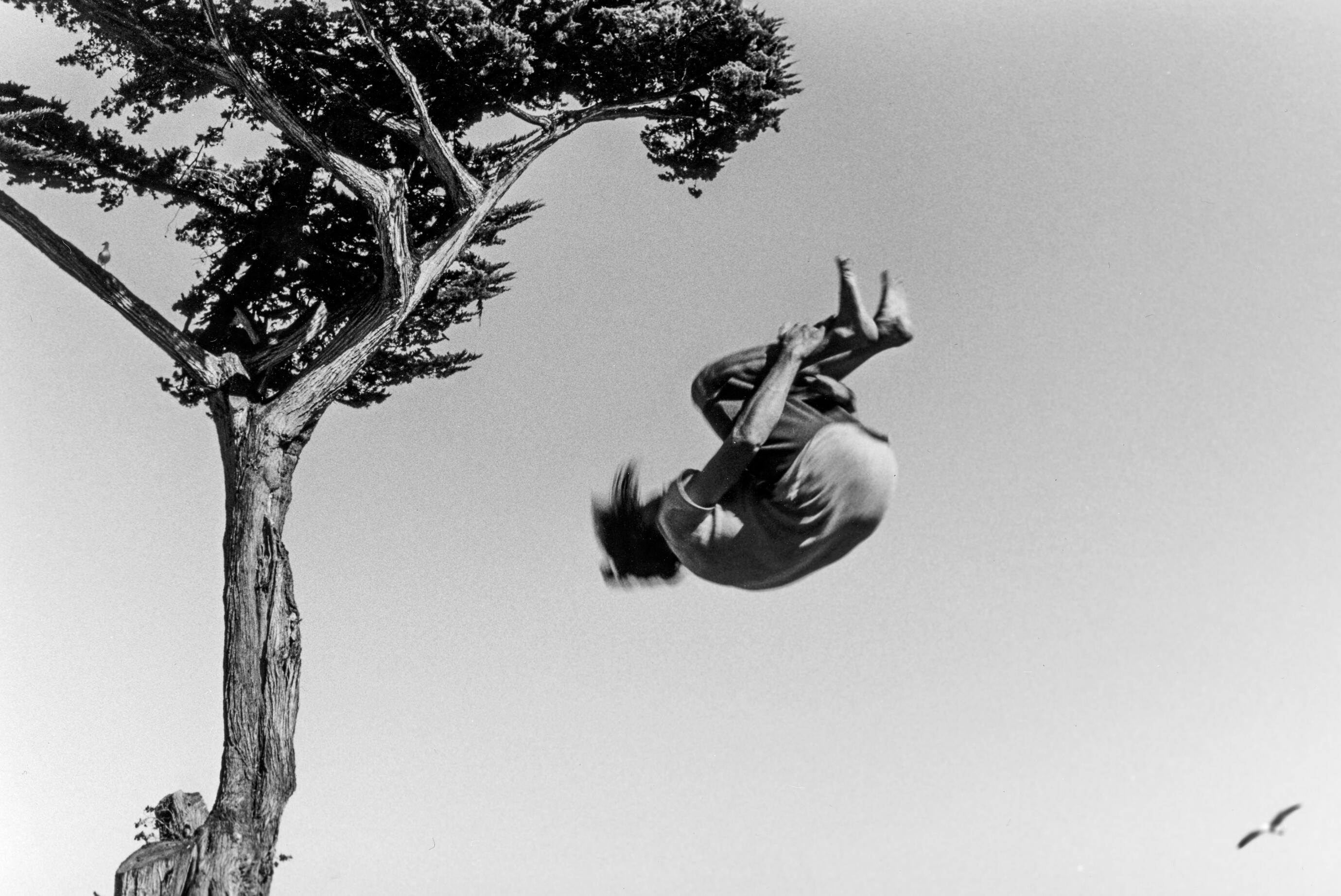 Lovers Point, Pacific Grove, California (2019)